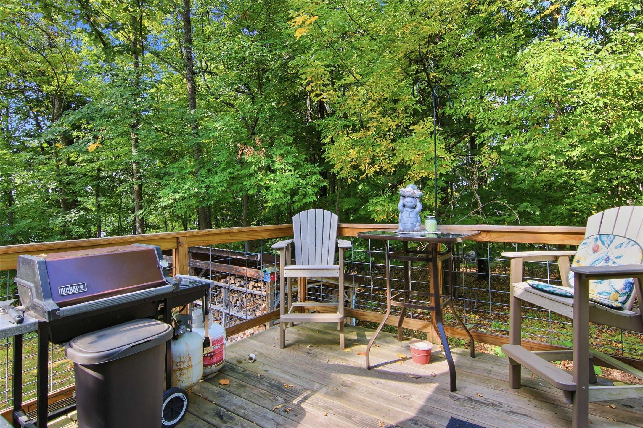 7611 West Pine Point Road, Unit 5 Hayward, WI 54843 - Photo 43 of 45 Gallery Image 43