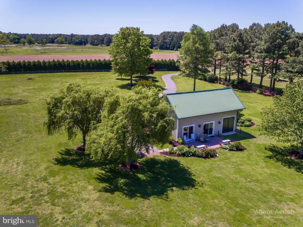 4000 Chamberlain Cove Road Trappe, MD 21673 - Photo 10 of 28 rear patio