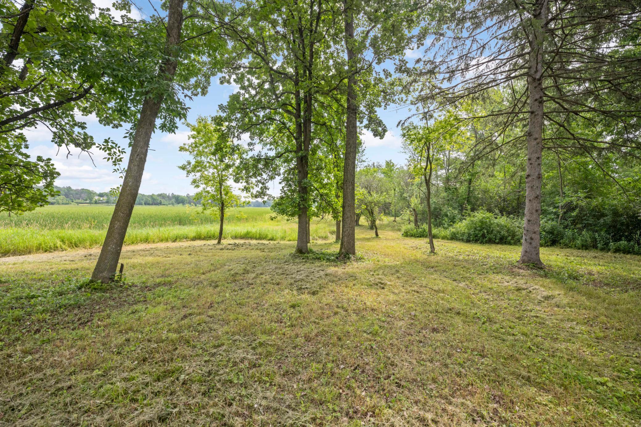 860 Brown Road South Wayzata, MN 55391 - Photo 8 of 19 Gallery Image 8