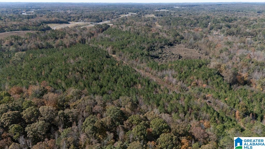 1122 Montevallo Road Centreville, AL 35042 - Photo 59 of 69