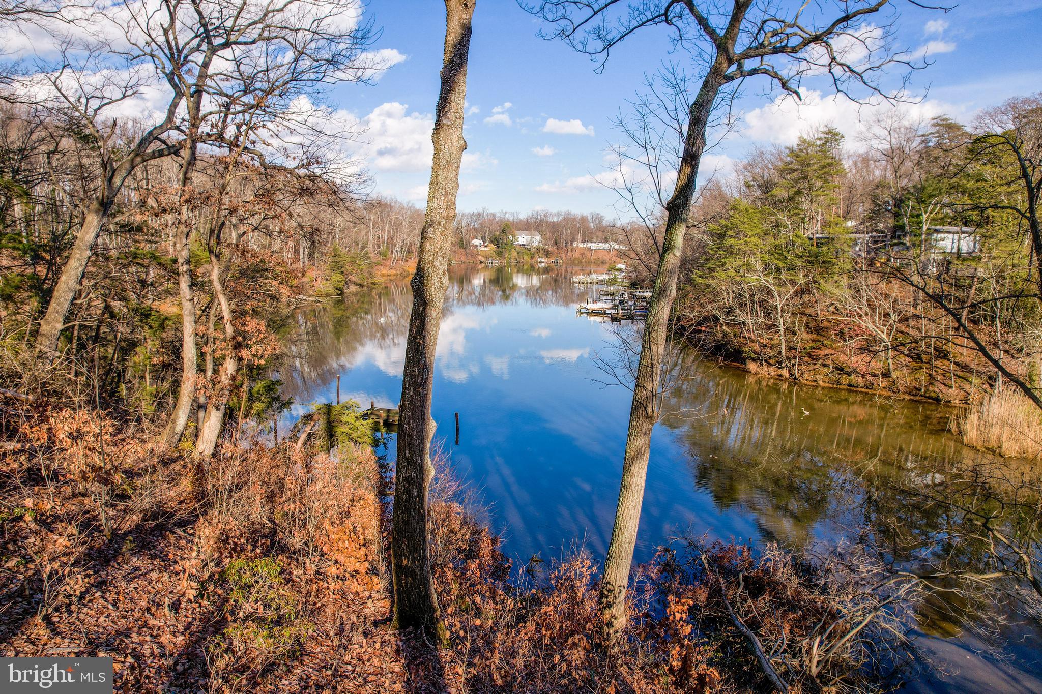 318 Halsey Road Annapolis, MD 21401 - Photo 8 of 19
