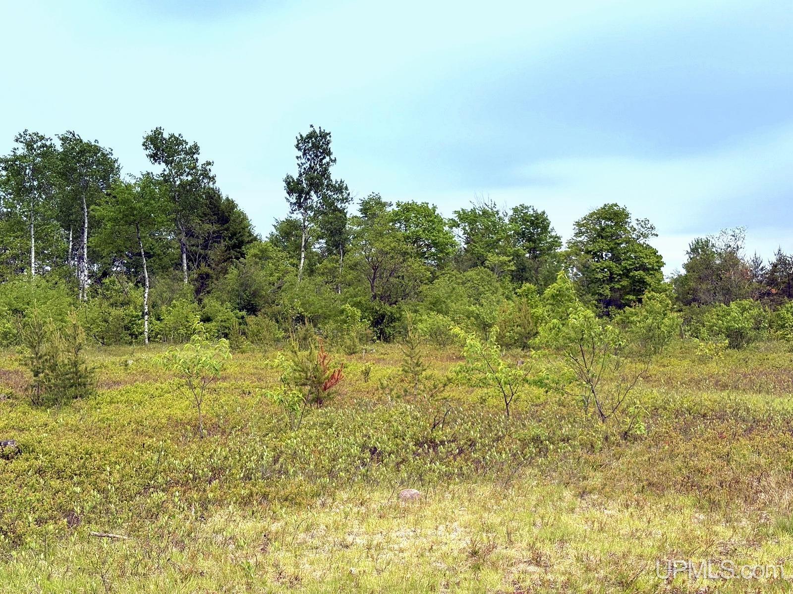 Tbd Tbd Co Road Gwinn, MI 49841 - Photo 39 of 58