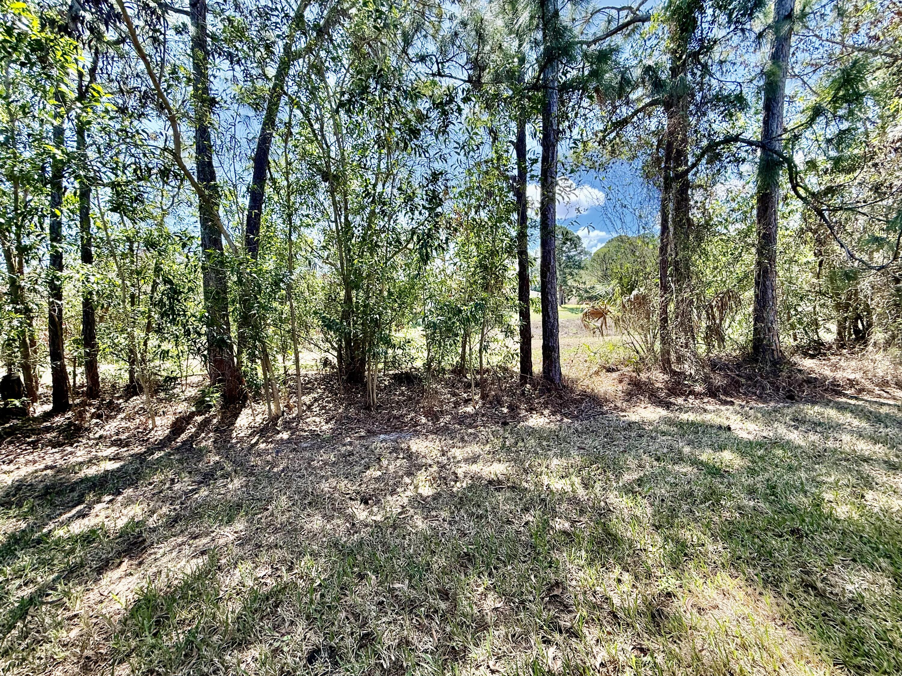 692 Northeast Turtleback Trail Port St. Lucie, FL 34983 - Photo 30 of 32 IMG_7330