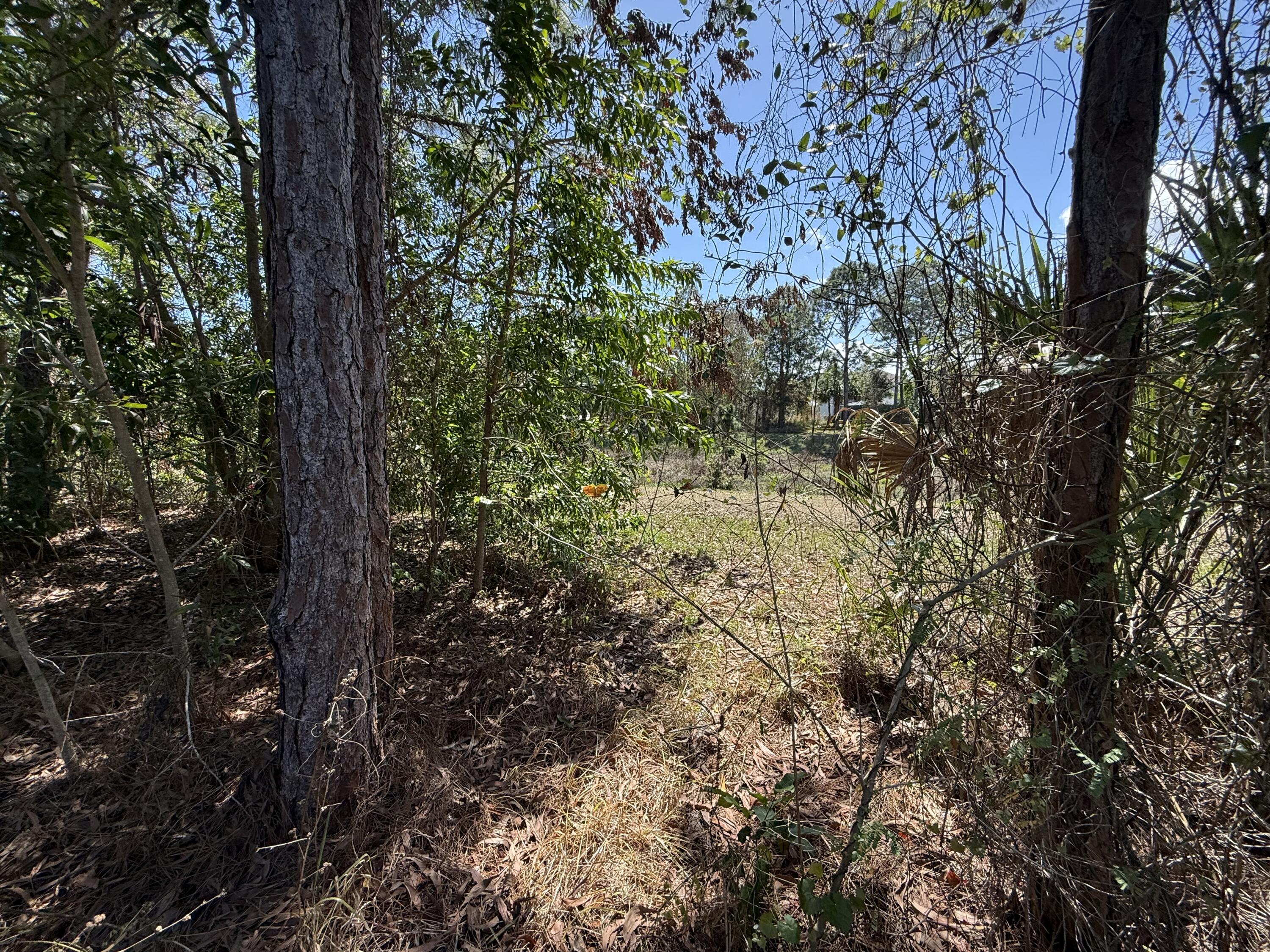 692 Northeast Turtleback Trail Port St. Lucie, FL 34983 - Photo 32 of 32 IMG_7334