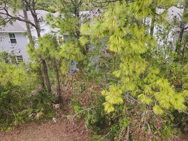 $2,900 | 692 Northeast Turtleback Trail, Port St. Lucie, FL 34983