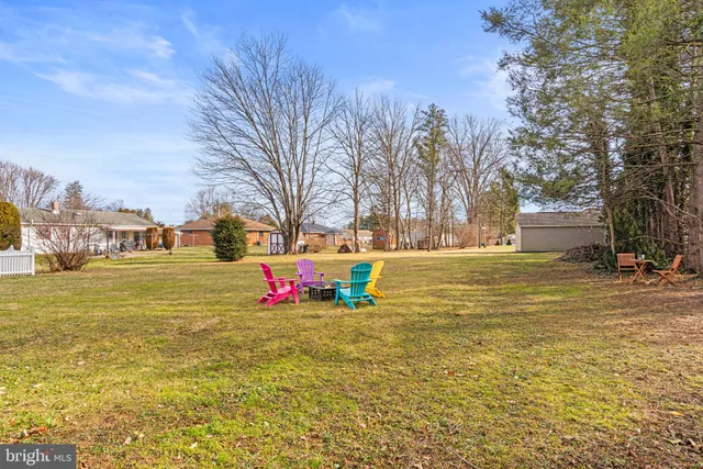 a view of park with large trees