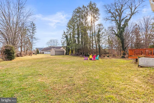 a view of street with trees