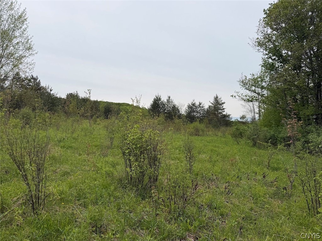 Reynolds Road Franklinville, NY 14737 - Photo 25 of 38