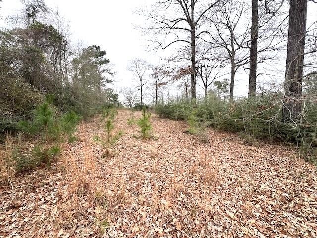 0 Potter Road Opp, AL 36467 - Photo 1 of 10 Gallery Image 1