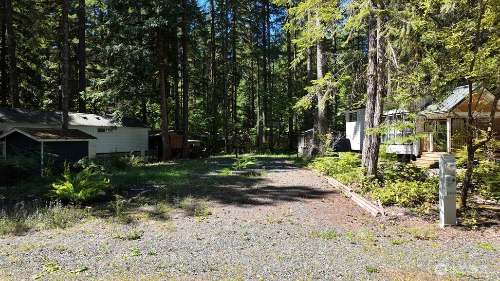 82 Riverside Drive Deming, WA 98244 - Photo 13 of 33 a view of a yard with plants and trees