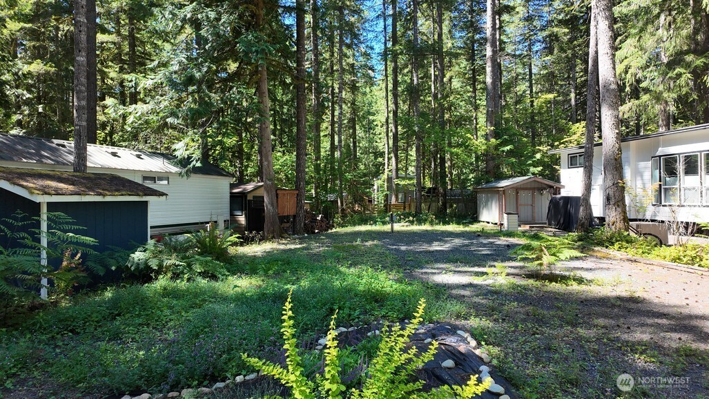 82 Riverside Drive Deming, WA 98244 - Photo 15 of 33 a backyard of a house with lots of green space