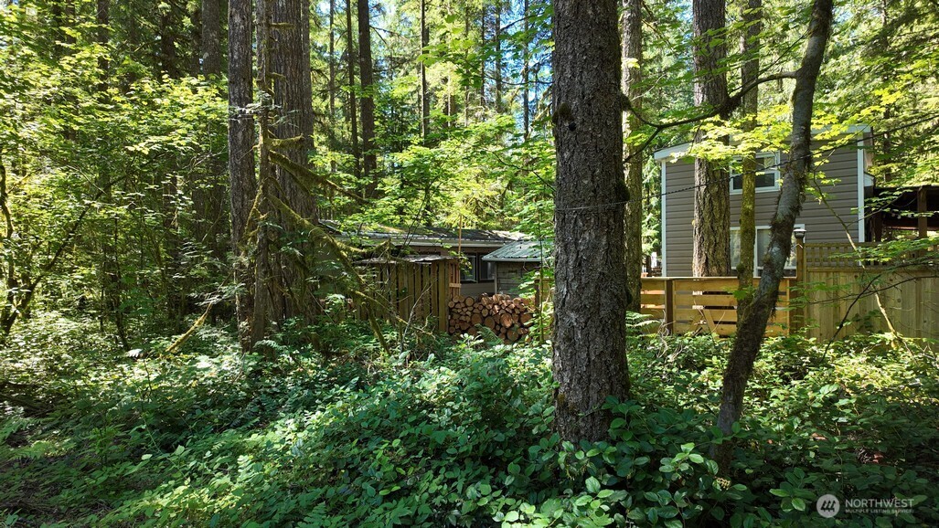 82 Riverside Drive Deming, WA 98244 - Photo 20 of 33 an aerial view of residential house with outdoor space and trees all around
