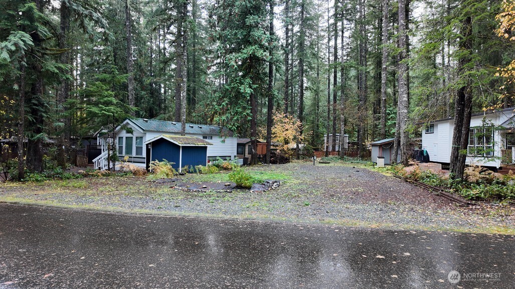 82 Riverside Drive Deming, WA 98244 - Photo 5 of 33 a view of a house with a yard and large trees