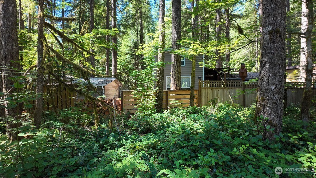 82 Riverside Drive Deming, WA 98244 - Photo 8 of 33 a view of lake with a tree