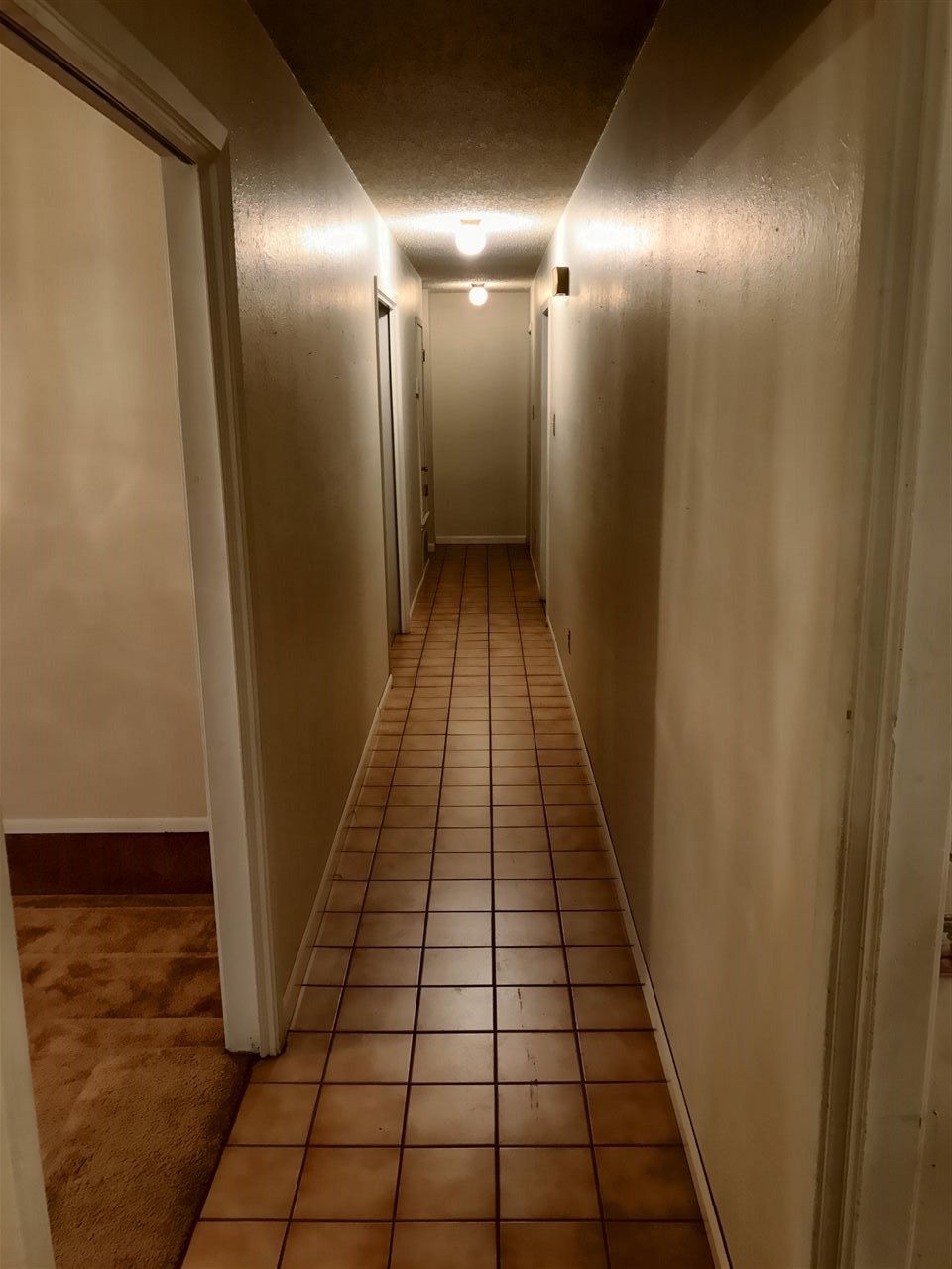 176 Arizona Loop Laredo, TX 78041 - Photo 4 of 20 Gallery Image 4