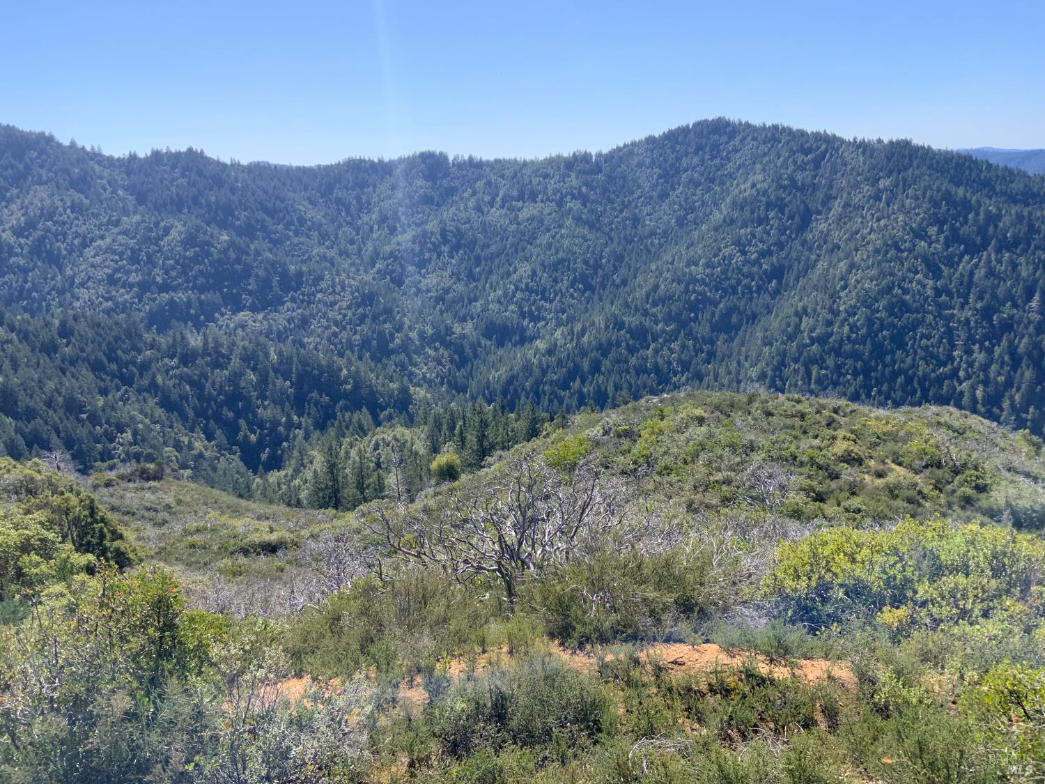 10225 Low Gap Road Ukiah, CA 95482 - Photo 1 of 17