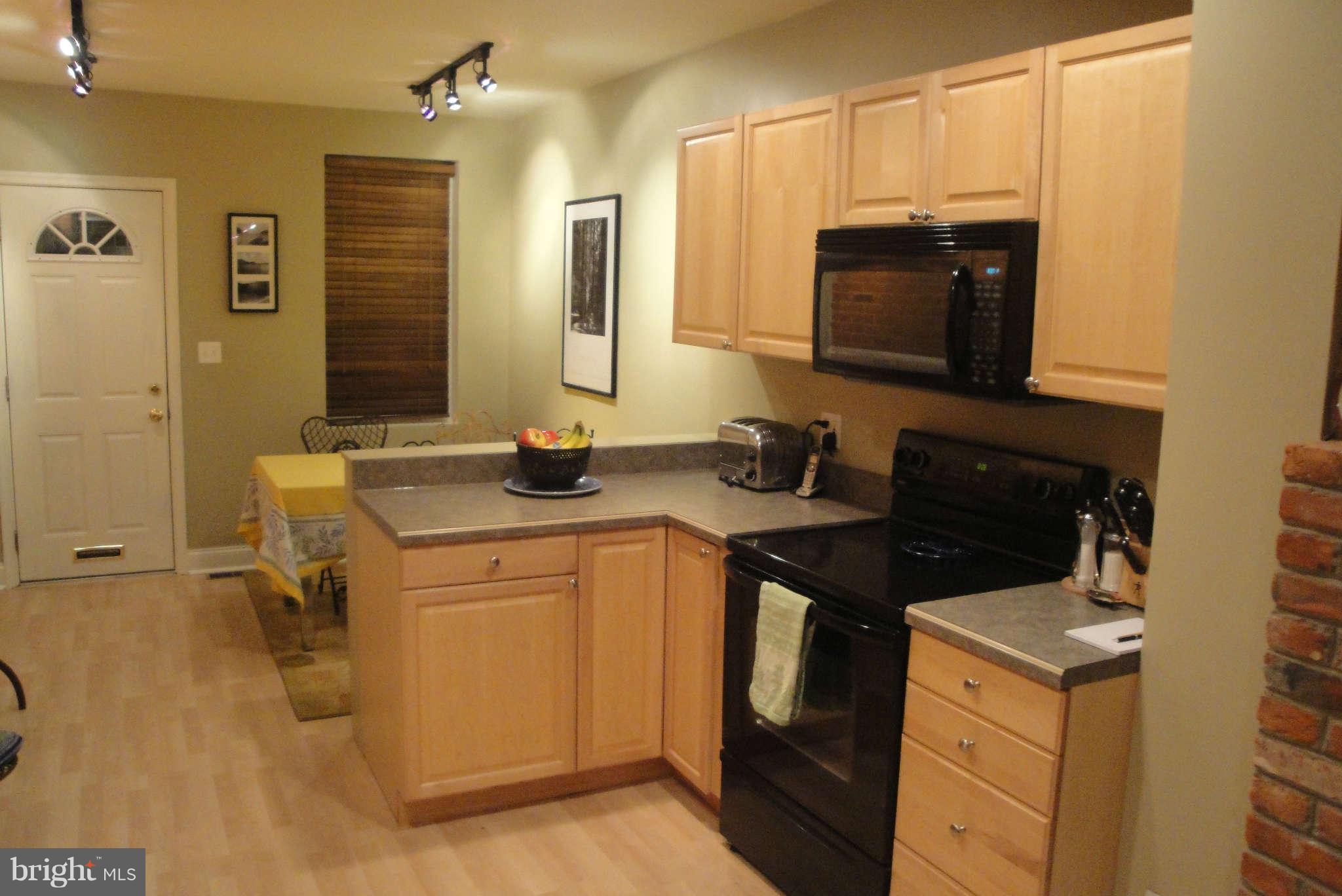 16 South Castle Street Baltimore, MD 21231 - Photo 4 of 22 Kitchen
