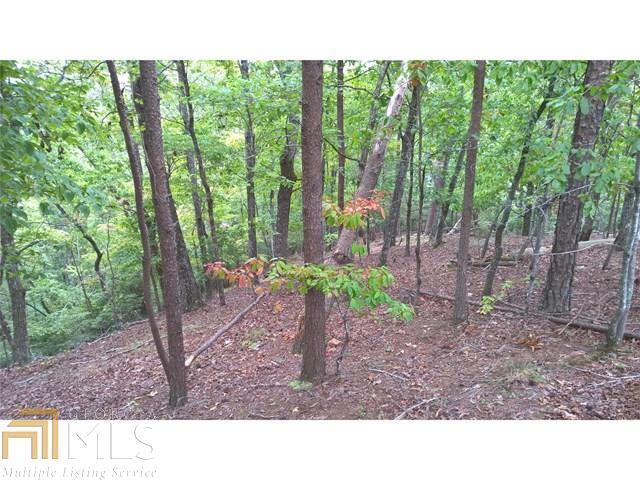 0 Robinson Road, Unit 5A Dahlonega, GA 30533 - Photo 1 of 1 Gallery Image 1