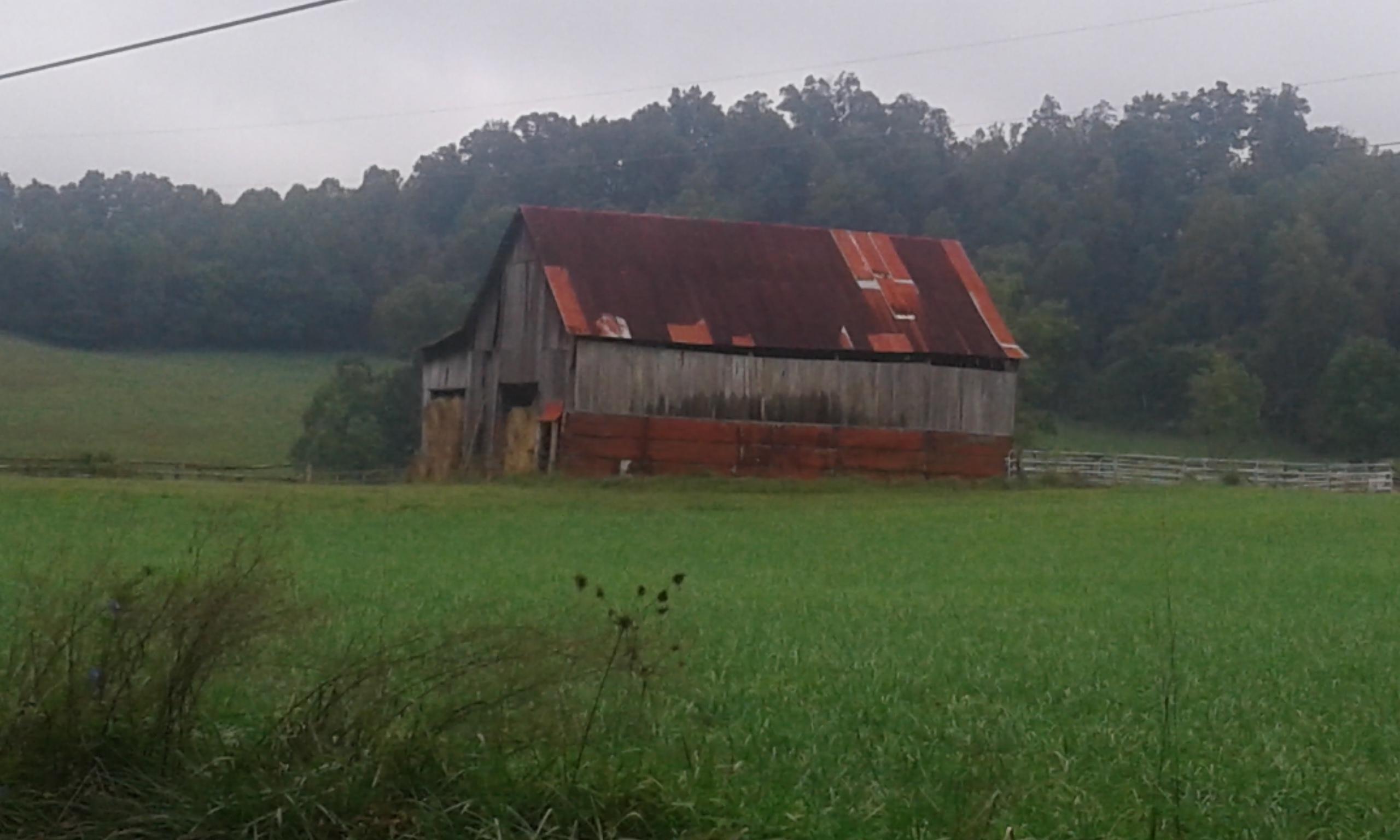 Bacchus Road Tazewell, TN 37879 - Photo 1 of 17 20170914_120008