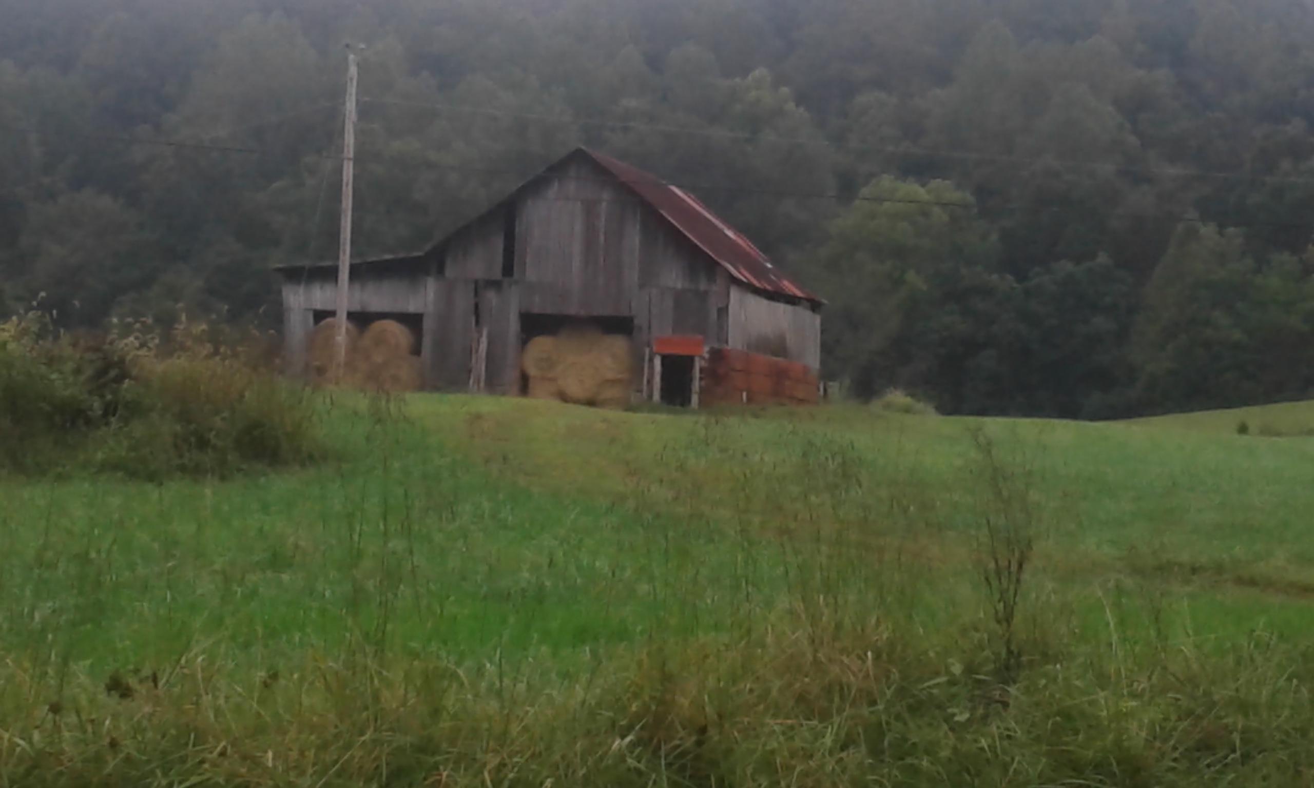 Bacchus Road Tazewell, TN 37879 - Photo 2 of 17 20170914_115938