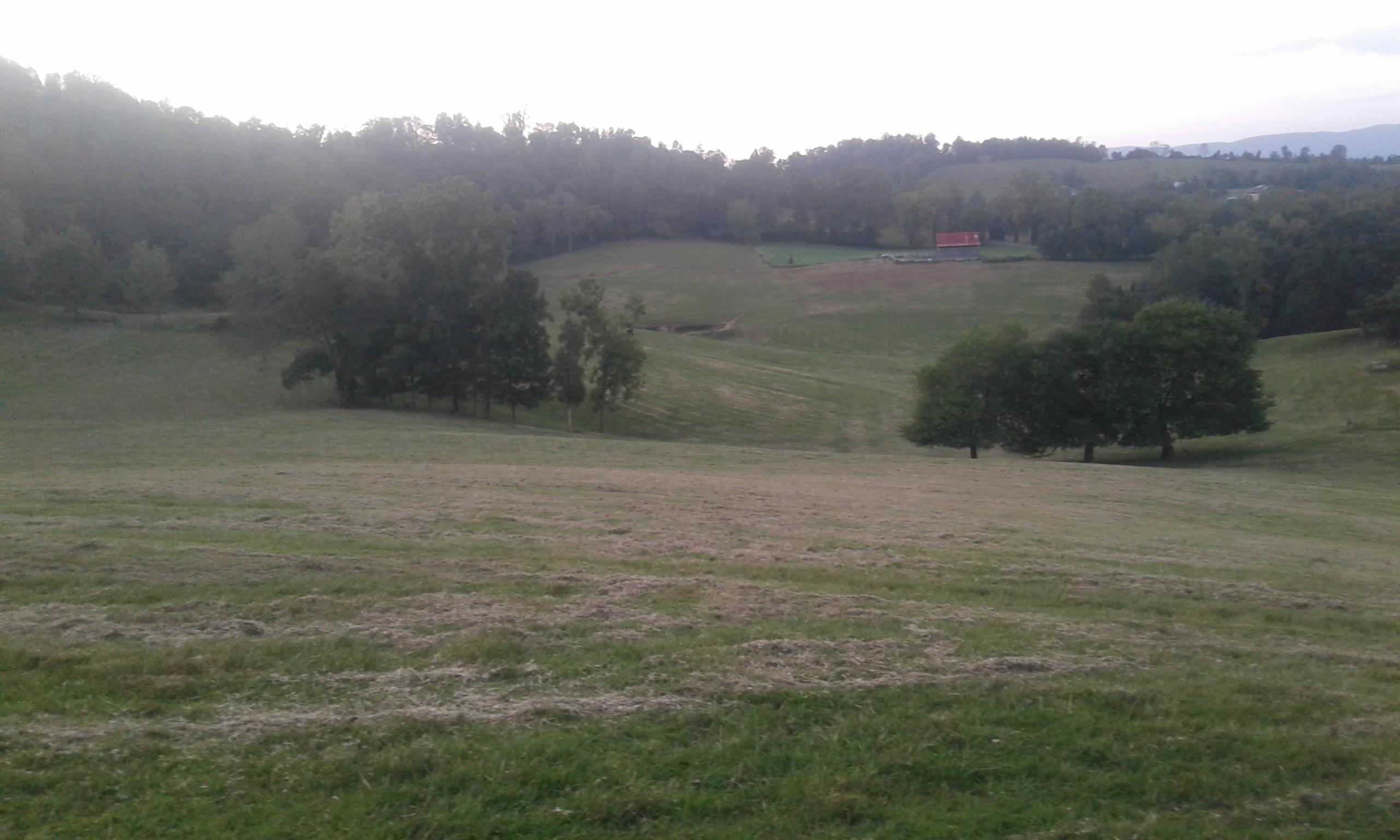 Bacchus Road Tazewell, TN 37879 - Photo 11 of 17 20170916_192541 (1)