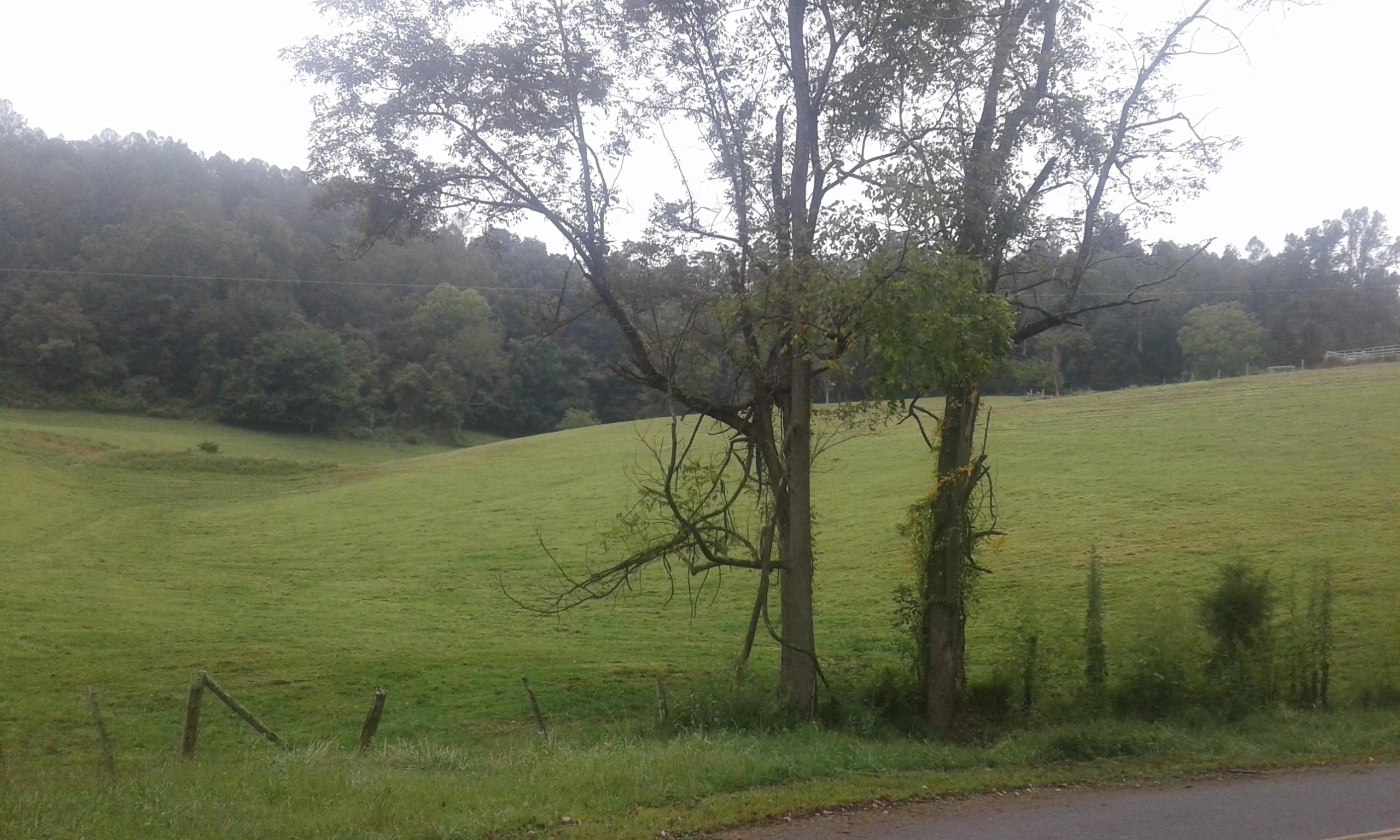Bacchus Road Tazewell, TN 37879 - Photo 7 of 17 20170914_115856