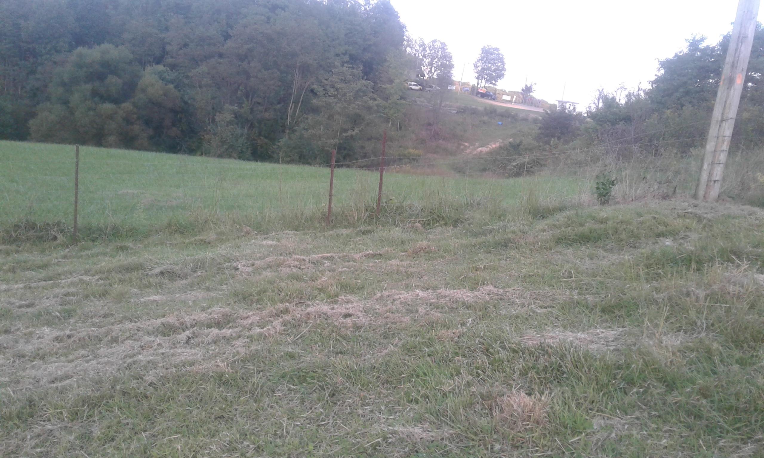 Bacchus Road Tazewell, TN 37879 - Photo 9 of 17 20170916_191515
