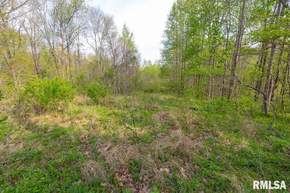 0 Goodman Pond Road Dongola, IL 62926 - Photo 58 of 72 Gallery Image 58