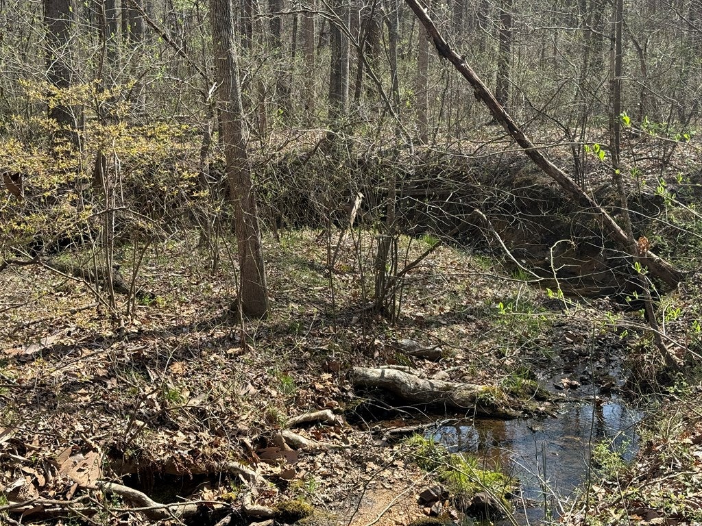 0 Sanders Creek Road Dillwyn, VA 23936 - Photo 11 of 15 Gallery Image 11