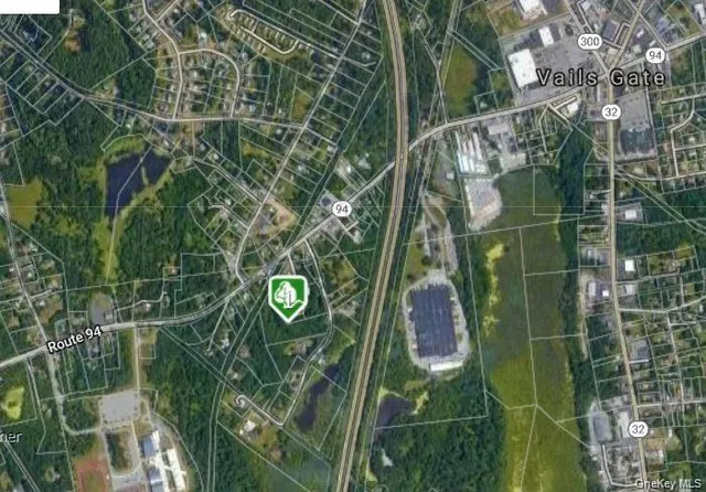 a close up of a plant in a garden