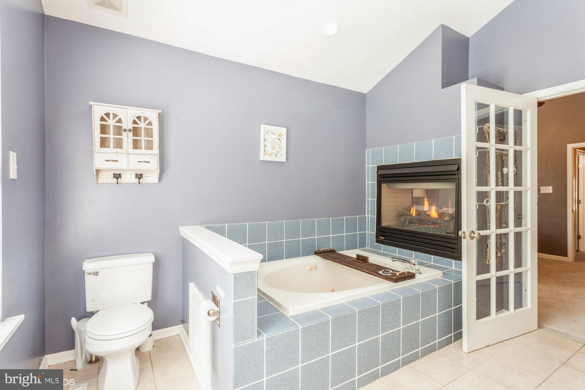 463 Deer Hill Circle Abingdon, MD 21009 - Photo 18 of 40 Primary Bath