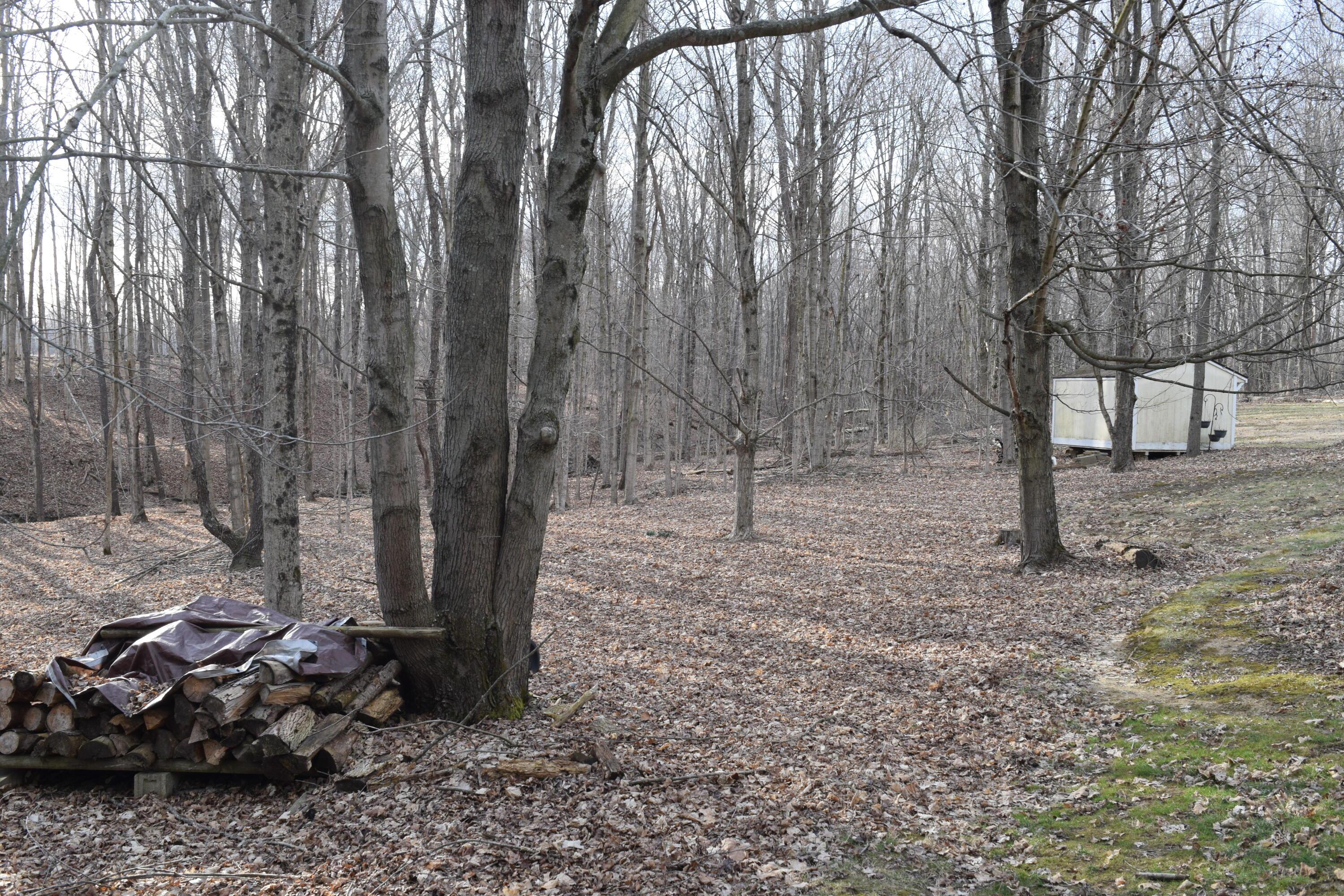 4465 Beard Road Sunbury, OH 43074 - Photo 11 of 40 Back Yard