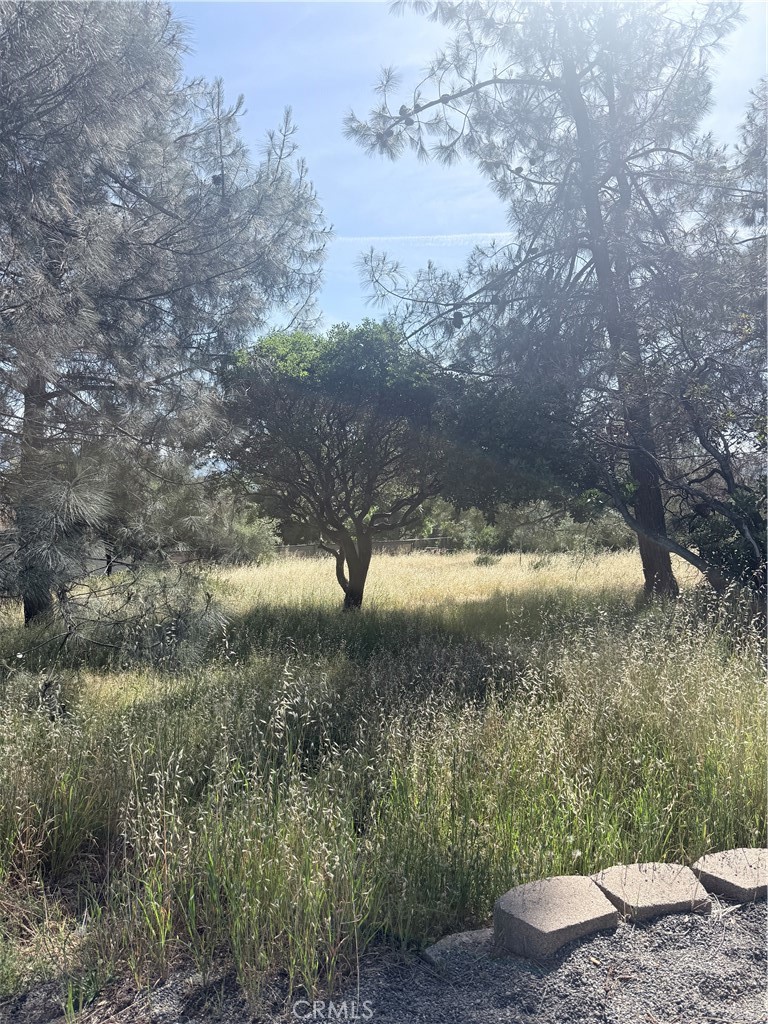 19303 Ravenhill Road Hidden Valley Lake, CA 95467 - Photo 1 of 4