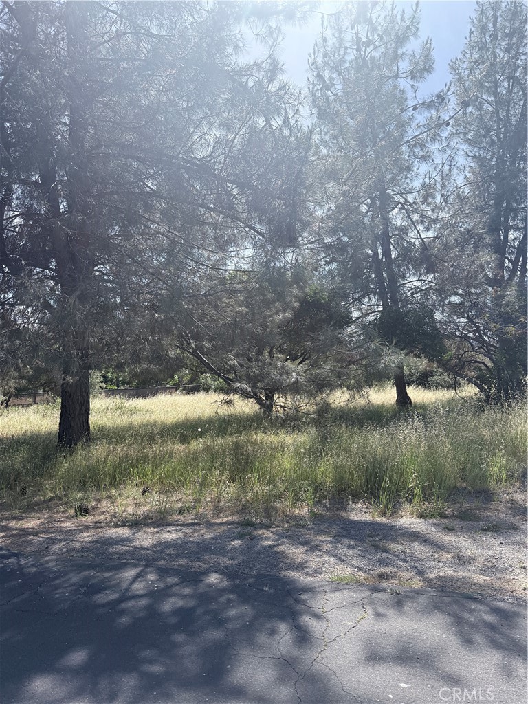 19303 Ravenhill Road Hidden Valley Lake, CA 95467 - Photo 2 of 4 a view of a road with an trees
