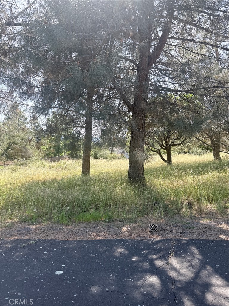 19303 Ravenhill Road Hidden Valley Lake, CA 95467 - Photo 4 of 4 a view of outdoor space with trees