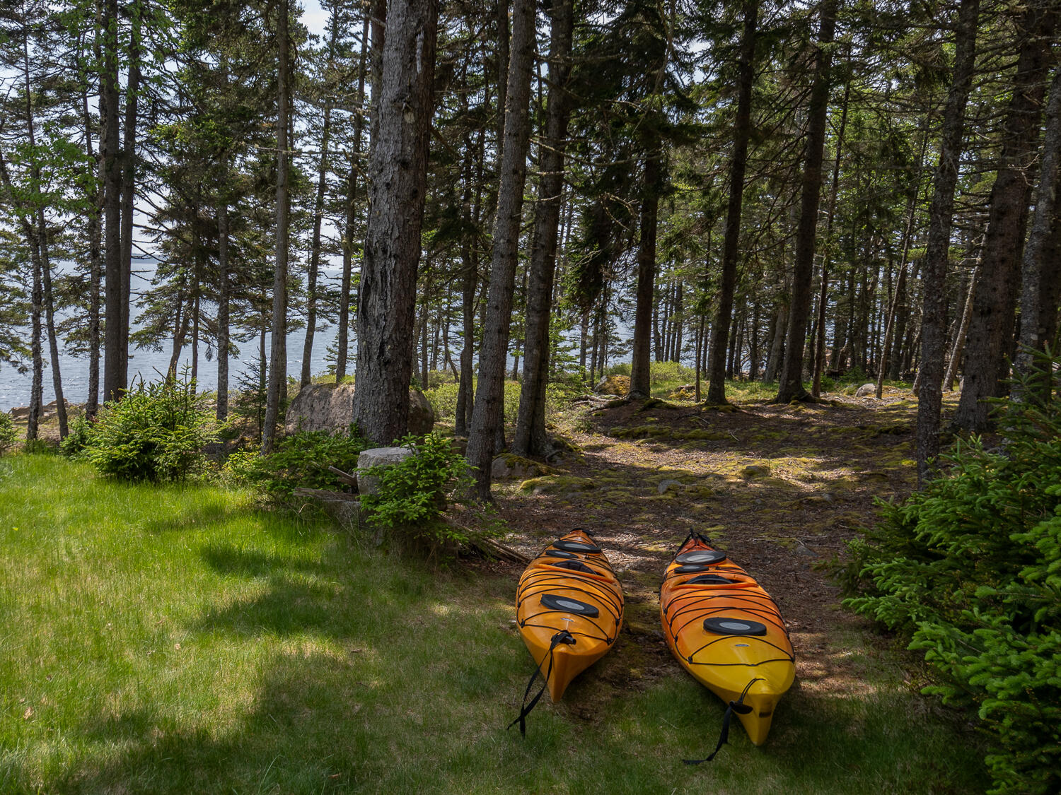 310 Red Point Road Swans Island, ME 04685 - Photo 39 of 50 Kayaks