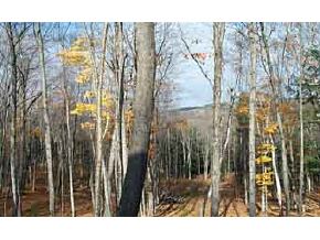 311 Densmore Hill Road Hartland, VT 05048 - Photo 2 of 5 Gallery Image 2