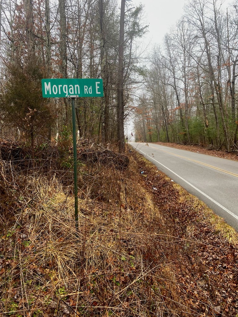 0 Morgan Road East Spring City, TN 37381 - Photo 6 of 6 Gallery Image 6