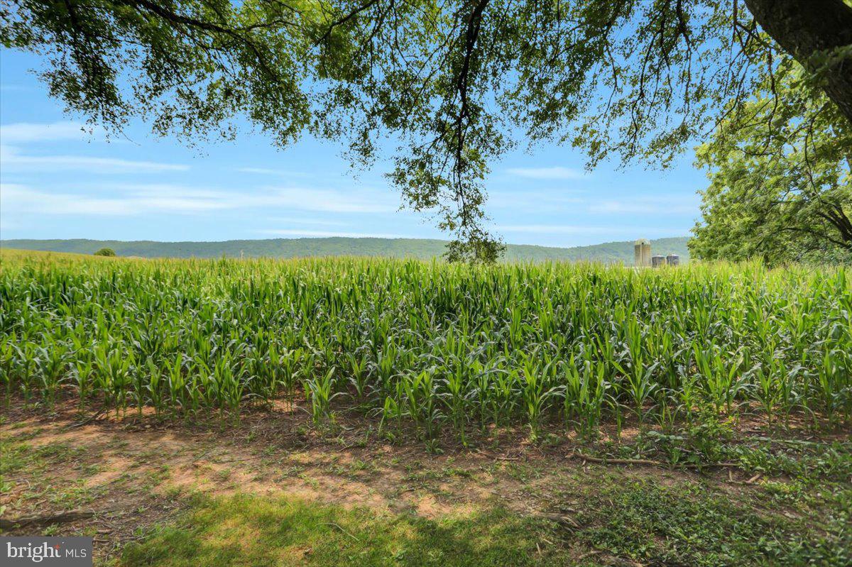 18732 Dry Run Road South Dry Run, PA 17220 - Photo 3 of 39 Gallery Image 3