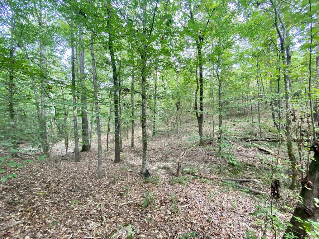 1122 Walters Road Crystal Springs, MS 39059 - Photo 1 of 25 Main View