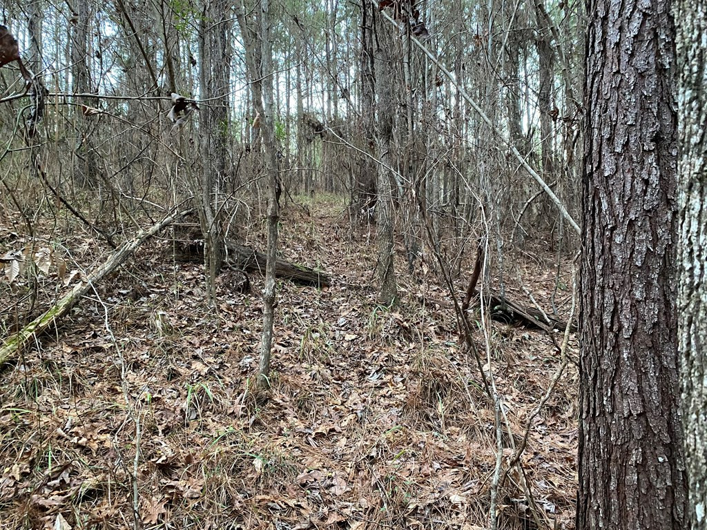 1122 Walters Road Crystal Springs, MS 39059 - Photo 11 of 25 Photo 11