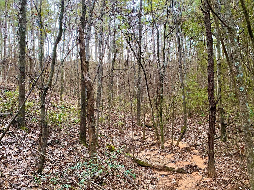 1122 Walters Road Crystal Springs, MS 39059 - Photo 12 of 25 Photo 12