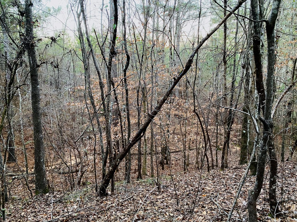1122 Walters Road Crystal Springs, MS 39059 - Photo 14 of 25 Photo 14