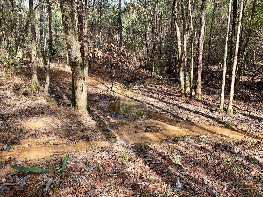 1122 Walters Road Crystal Springs, MS 39059 - Photo 15 of 25 Photo 15