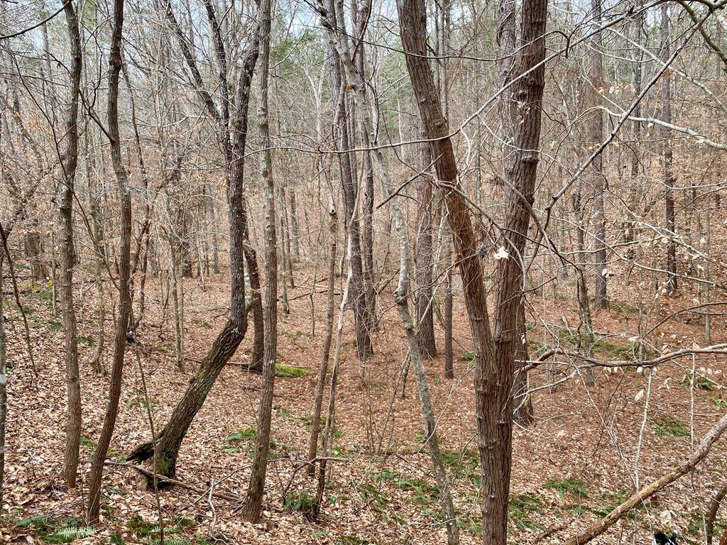 1122 Walters Road Crystal Springs, MS 39059 - Photo 16 of 25 Photo 16