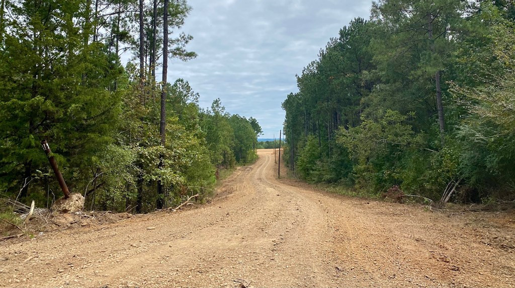 1122 Walters Road Crystal Springs, MS 39059 - Photo 17 of 25 Photo 17