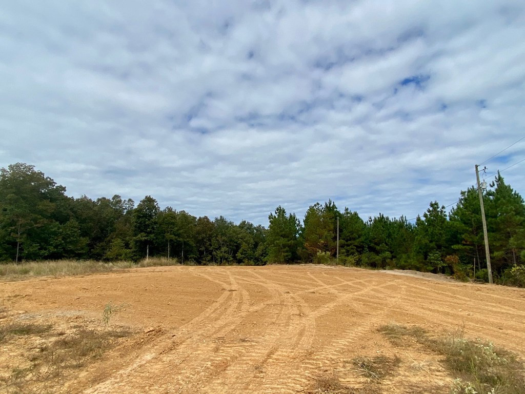 1122 Walters Road Crystal Springs, MS 39059 - Photo 18 of 25 Photo 18