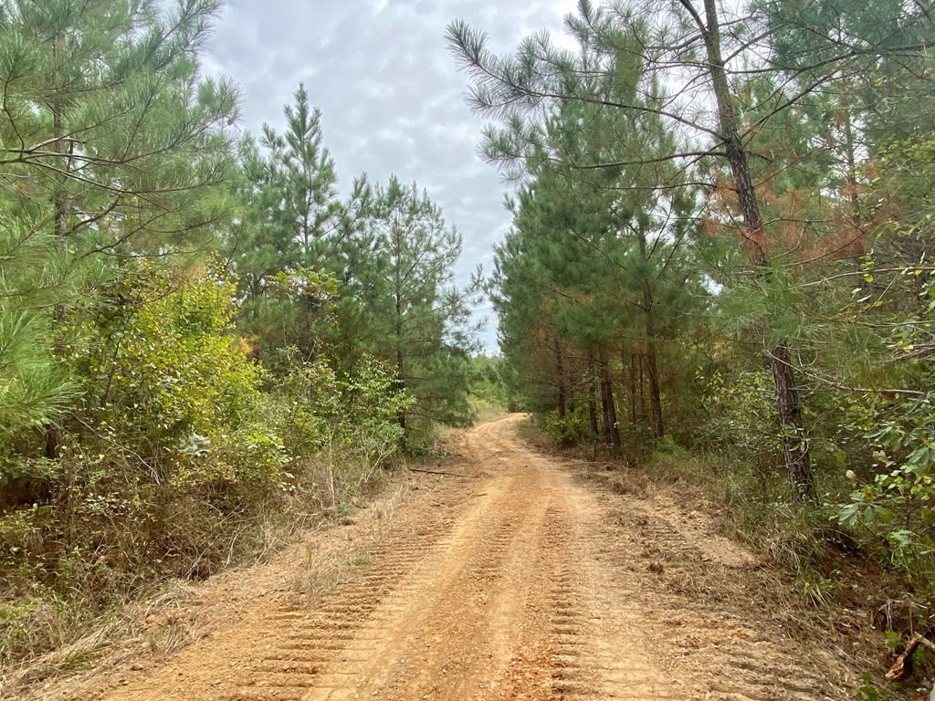 1122 Walters Road Crystal Springs, MS 39059 - Photo 19 of 25 Photo 19