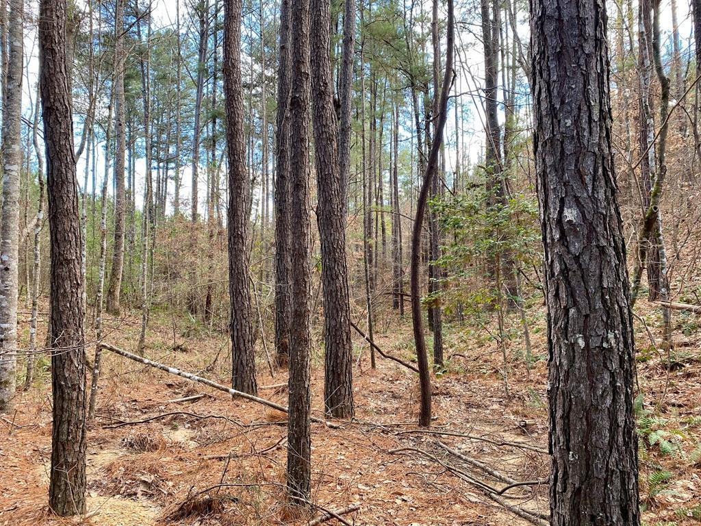 1122 Walters Road Crystal Springs, MS 39059 - Photo 2 of 25 Photo 2