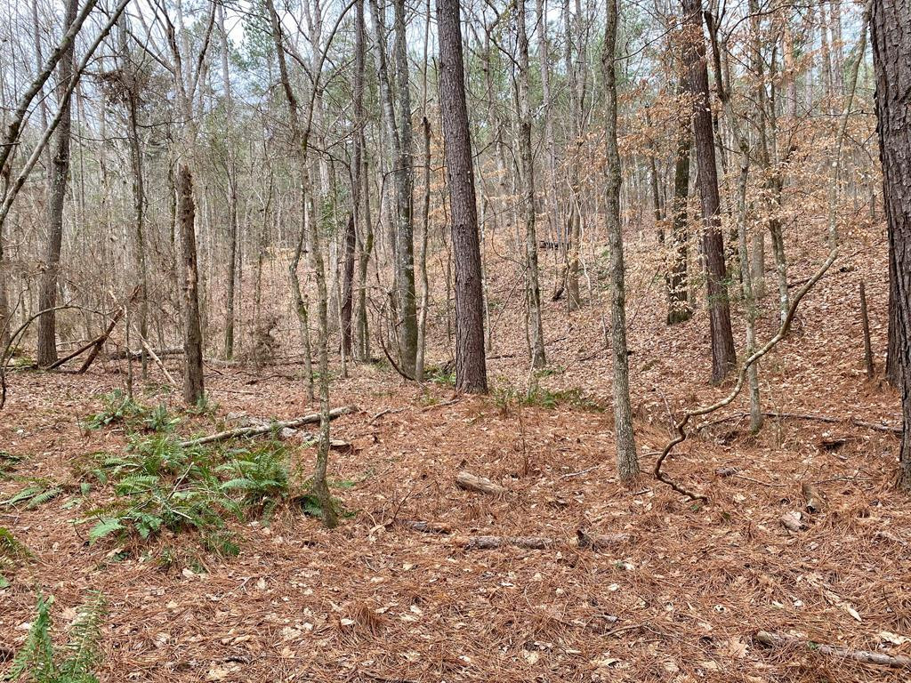1122 Walters Road Crystal Springs, MS 39059 - Photo 21 of 25 Photo 21